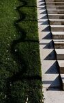 Martyn Pearse - Shadows2