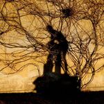 Miggy Wild - Statue Shadow