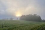 Ann Morland - A misty Morning
