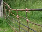 Colin Lamb - Gate