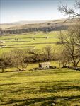 Paul Brewerton - Drystone Walls. Wharfedale