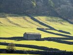 Paul Brewerton - Wharfedale in Spring