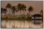 backwaters-of-kerala-Edit.jpg