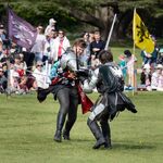 Nick Hardwick - 3 Swordfight