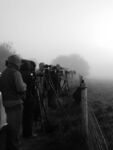 Anne Hunsley - Silhouette Not quite