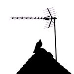 Richard Broadbent - Silhouette 2