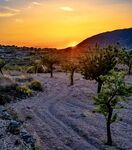 Maureen Robinson - Almeiria Sunset