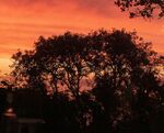 Meriel Flux - sunset