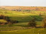 Paul Brewerton - Sunrise in the Dales
