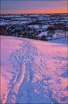 Paul Brewerton - Sunset on Snow