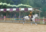 horse smoke-1050284