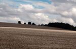 Martyn Pearse - End of the Harvest