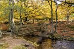 Jim Muller - Bridge over Burbage Brook
