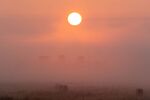 Lindsey Smith - A Misty Sunrise - Stonegenge