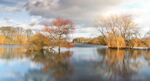 Maureen Tyrrell - Clattercote Reservoir