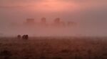 Maureen Tyrrell - Stonehenge in the Mist