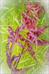 Paul Brewerton - Multiple Exposure. 3