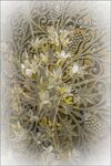 Paul Brewerton - Mutlple Exposure., 1