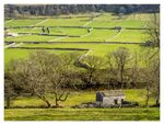 Paul Brewerton - Springtime, Yorkshire Dales
