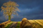 Paul Friend - Fields near Whichford