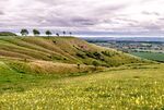 Richard Broadbent - Roundway Down