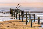 Richard Broadbent - Snettisham Beach