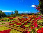 Nicky Westwood - Botanical Gardens, Madeira