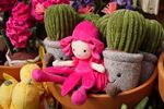 Paul Friend - Cuddly Veg and Cactus Plants