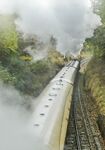 Miggy Wild - Through The Steam