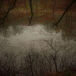 Charles Hodge - Branches