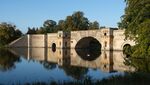 Charles Hodge - Blenheim Grand Bridge Swan