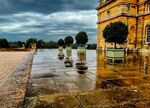 Paul Brewerton - Blenheim Topiary