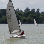 Colin Lamb - All catching the breeze