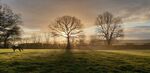 Charles Hodge - Sunrise at Middle Paddock