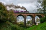 Neil Grantham - Severn Valley Railway, Daniels Mill