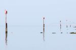 Andrew Dayer - Calm Christchurch