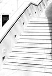 Jim Muller - Steps