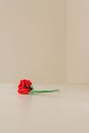 Nicky Westwood - A lonesome rose