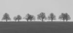 Richard Broadbent - Minimal 1