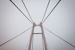 Nick Hardwick - Suspension Bridge