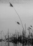 Richard Broadbent - Minimal 3