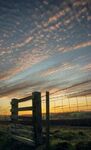 Maureen Tyrrell - Gate with big sky