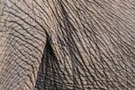 Richard Broadbent - Textures 3