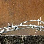 Tim Goss - Texture Wire