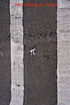 Paul Whitehead - Texture