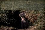 Terri Innes - What's Outside My Den - Discovery 1