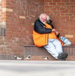 Andrew Dayer - Discovered Turnstone Bread - 3