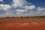 Autumnfield