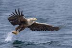 Jim Muller - On the Water-1