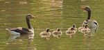 Martyn Pearse - Family outing